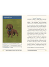 This is a Book for People who Love Dogs
