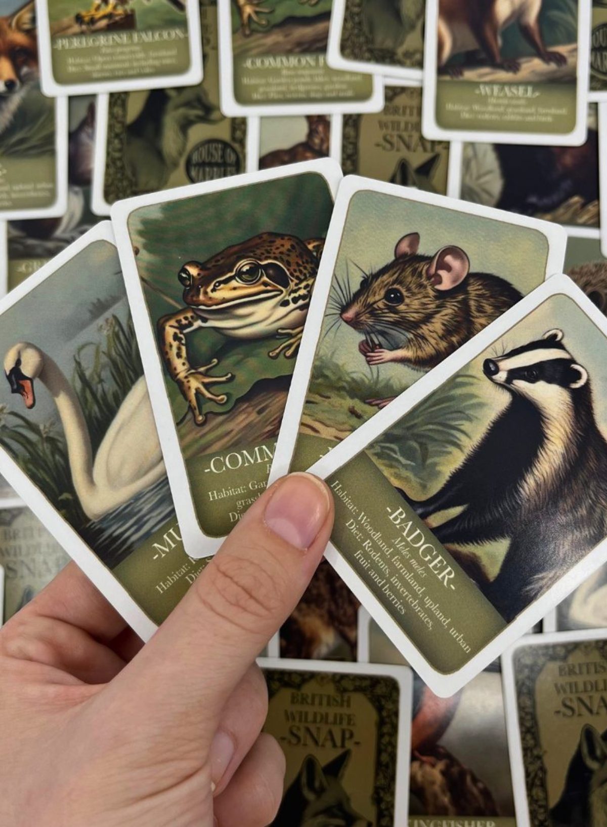 House of Marbles Wildlife 'Paris' Card Game