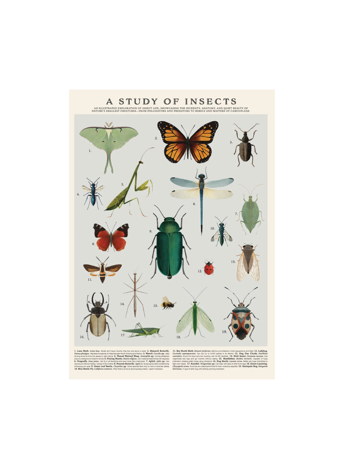 123 Farm Wrap - Vintage Posters - Insects