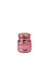 Chroma Rosales Hot Pink Metallic Glass Candle in Saffron Rose from Paddywax