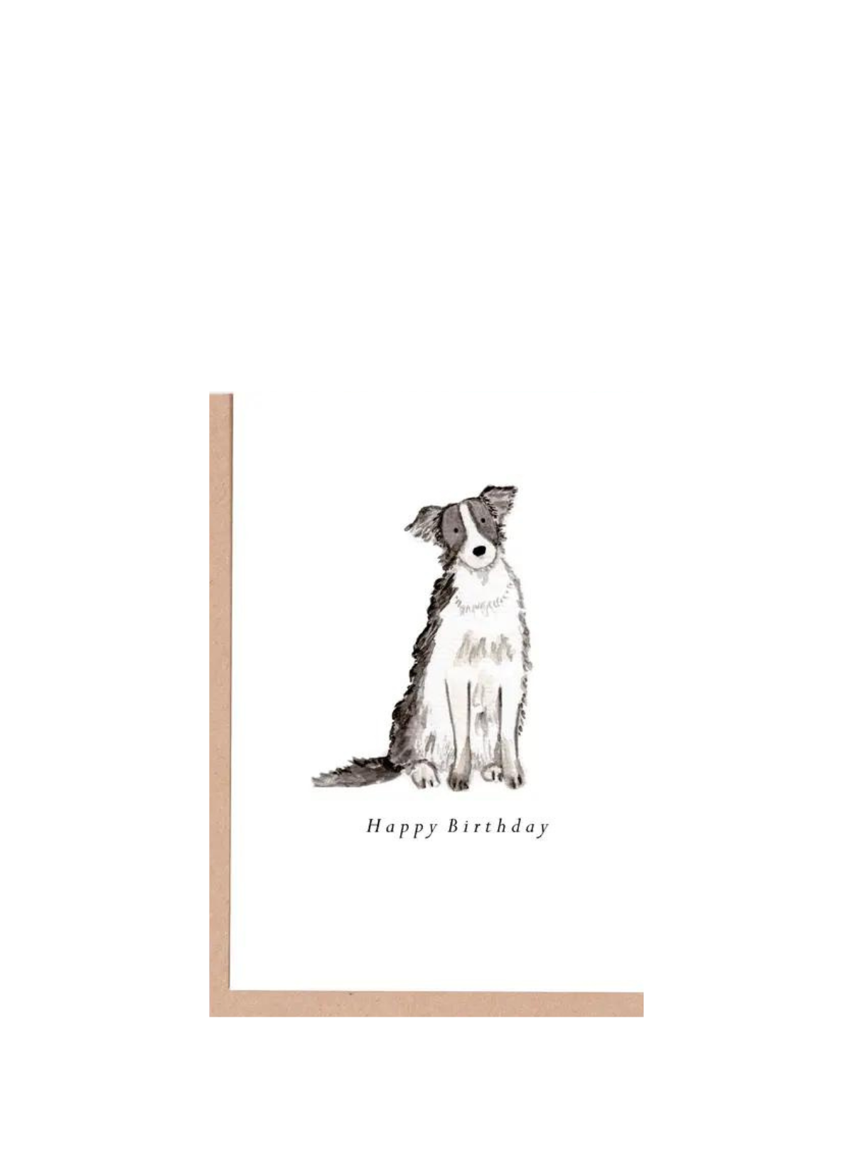 HeatherLucyJ Design Border Collie Birthday Card