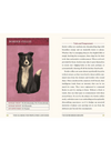 This is a Book for People who Love Dogs
