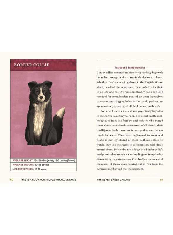 This is a Book for People who Love Dogs