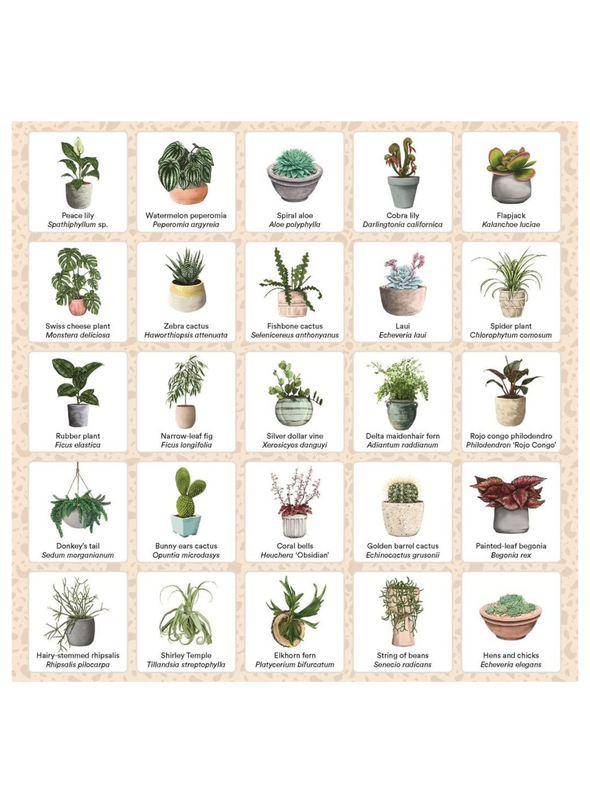 Plant Bingo: A Game for Green Thumbs