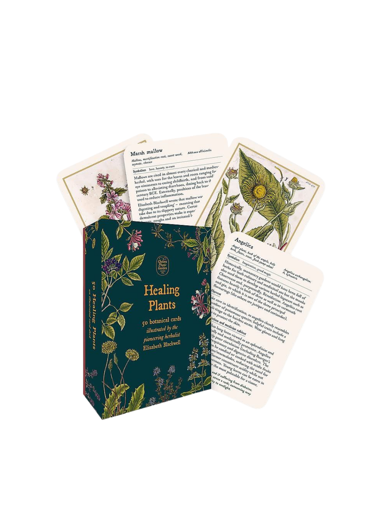 Healing Plants: 50 Botanical Cards