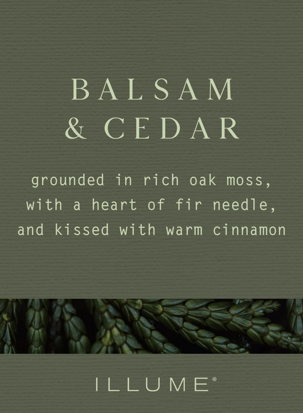 Balsam & Cedar Vanity Tin Candle 50 Hours from Illume