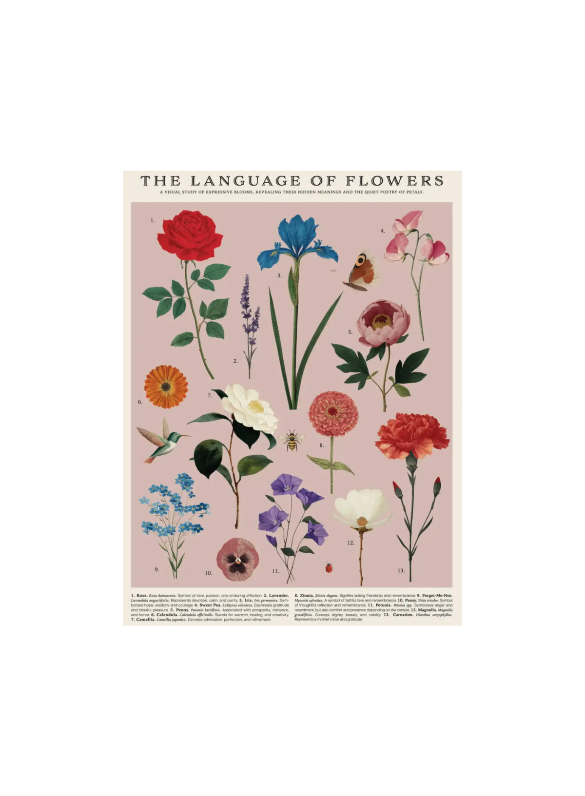 123 Farm Wrap - Vintage Posters - Language of Flowers