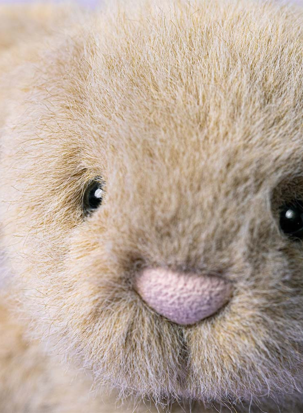 Jellycat Flufflet Bunny Oat