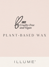 Balsam & Cedar Vanity Tin Candle 50 Hours from Illume