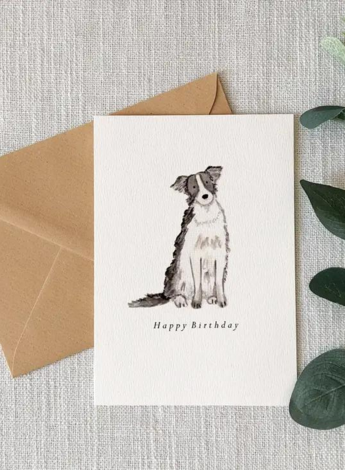 HeatherLucyJ Design Border Collie Birthday Card
