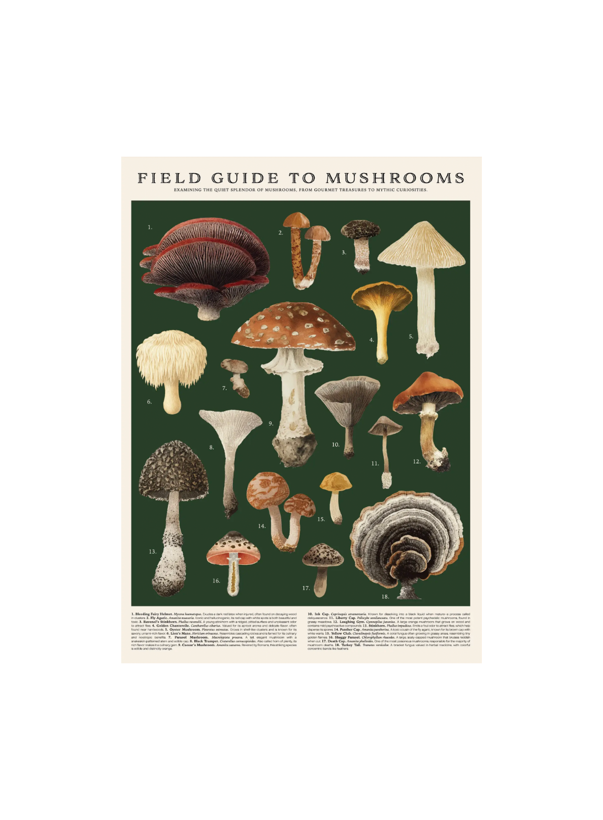 123 Farm Wrap - Vintage Posters - Mushrooms