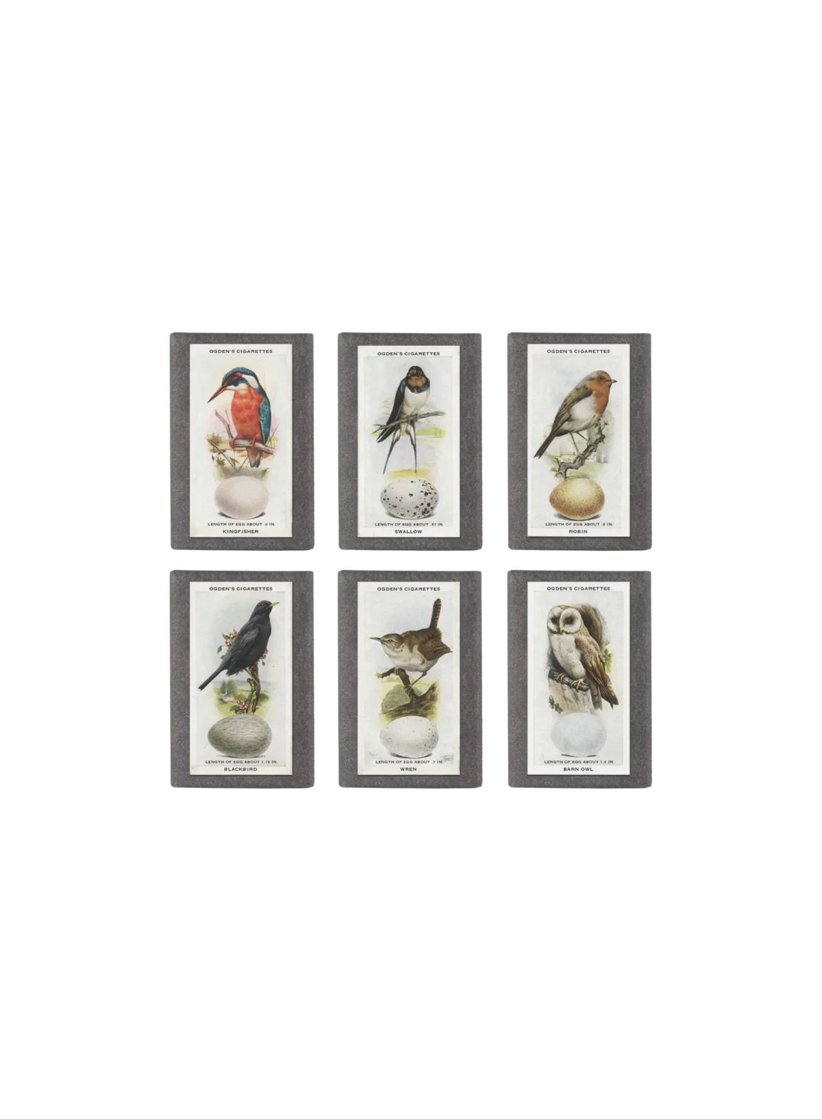Sting in the Tail Britsh Garden Birds Label Soap