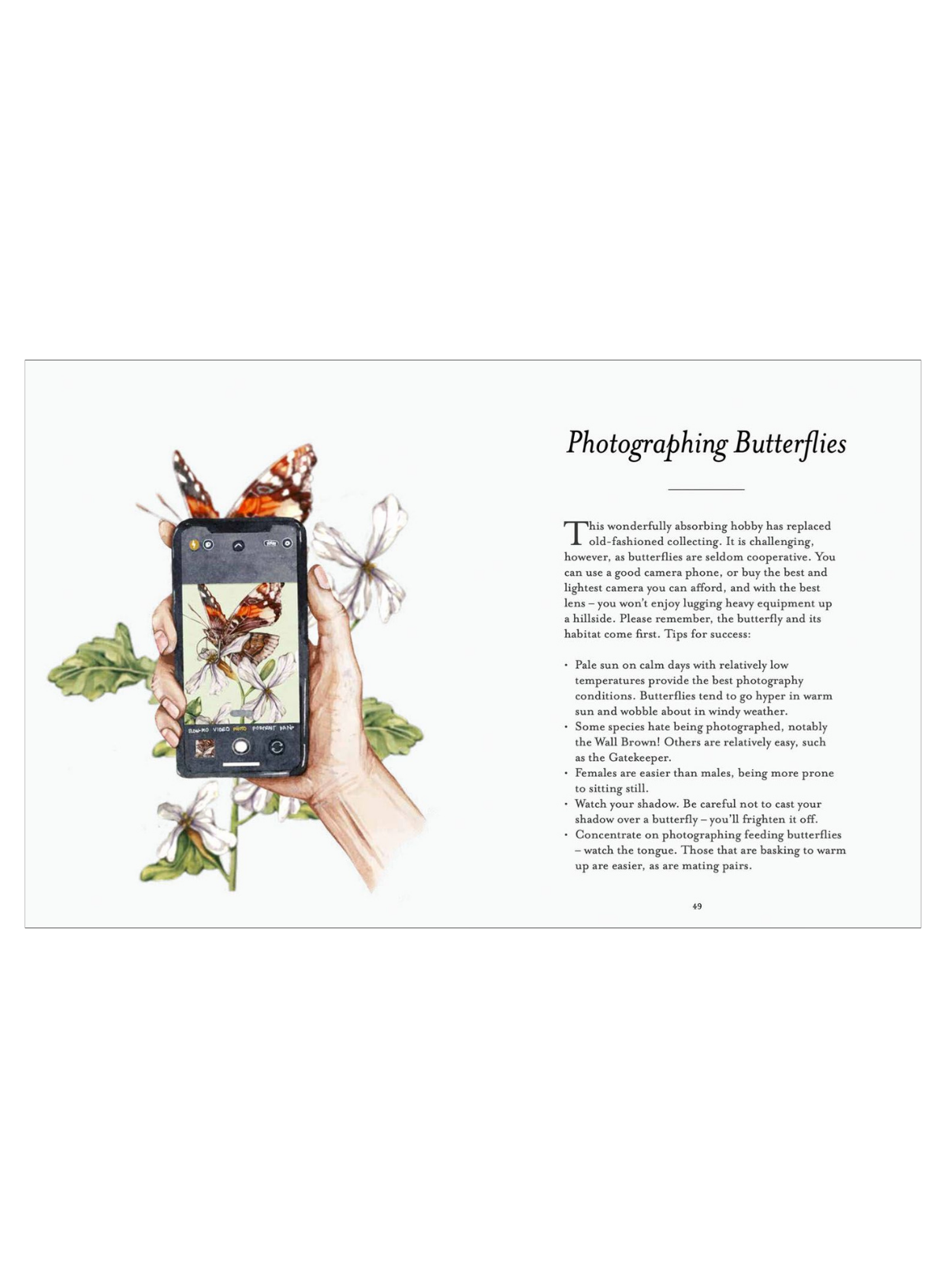 Butterfly Spotters Guide - National Trust (HB)