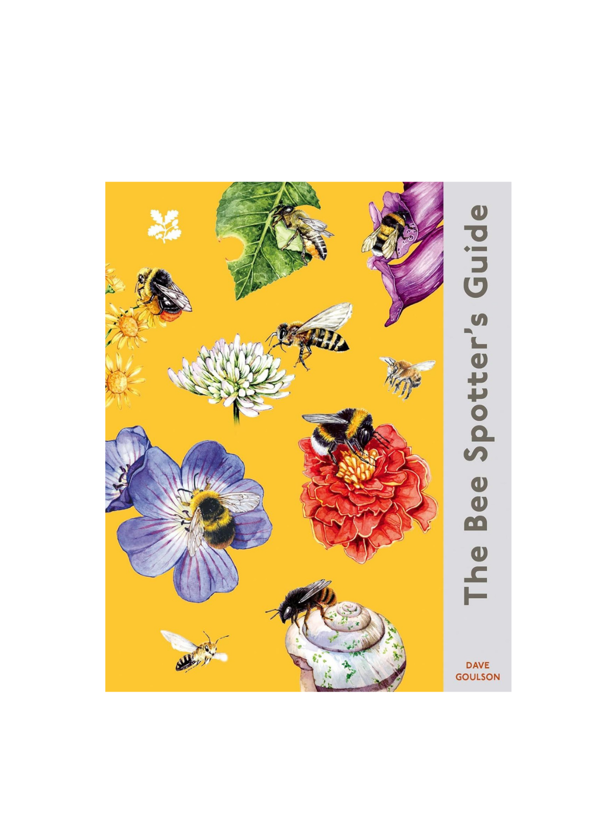 Bee Spotters' Guide - National Trust (HB)