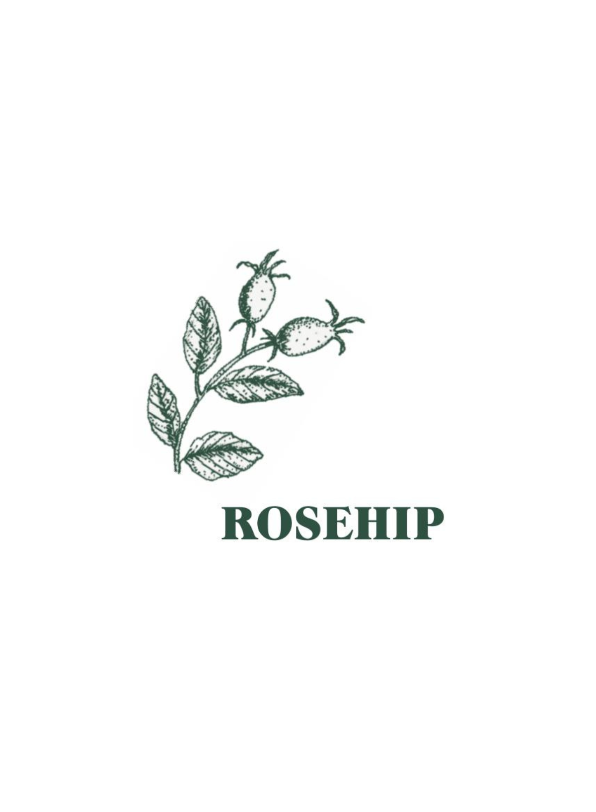 Heaven Scent Green Botanical Pack of 10 Incense Sticks in Rosehip