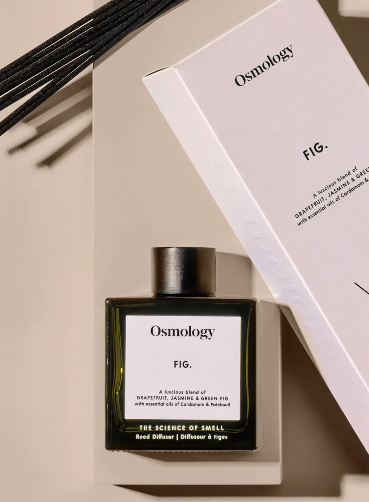 Aery Living Osmology Fig Reed Diffuser