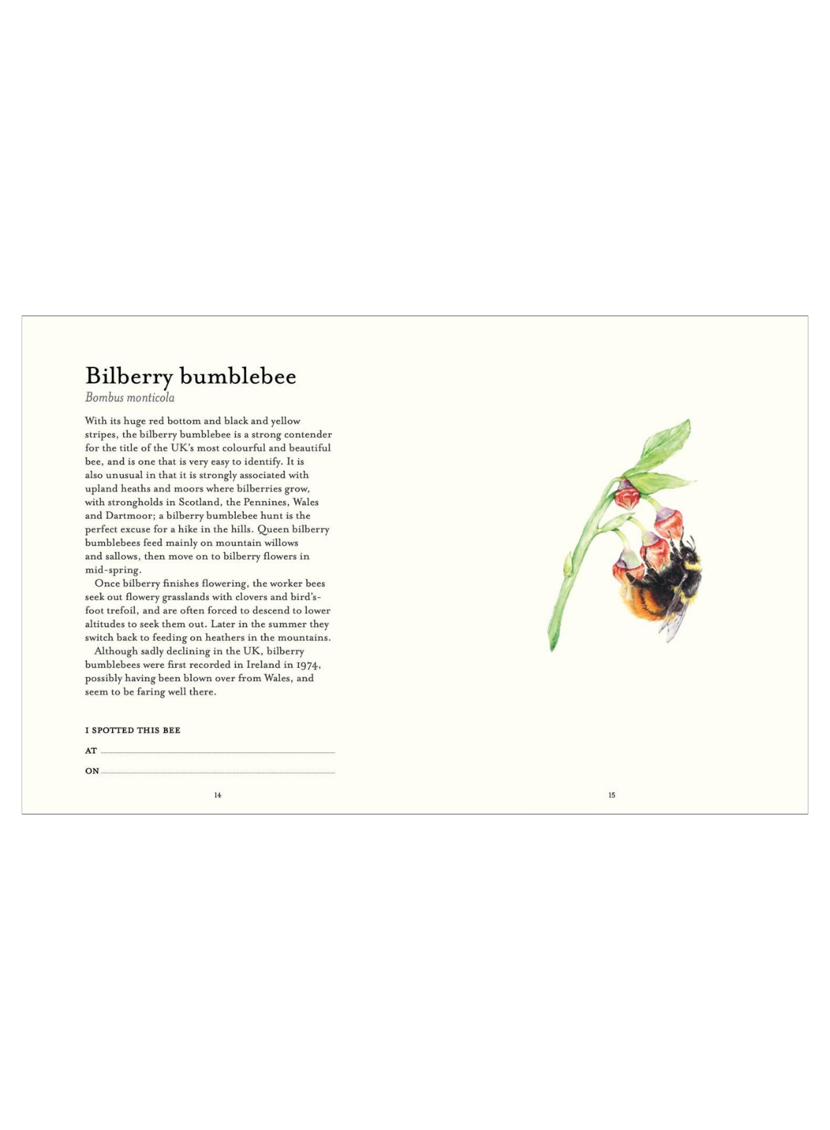 Bee Spotters' Guide - National Trust (HB)