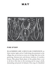 Stories of The Sun