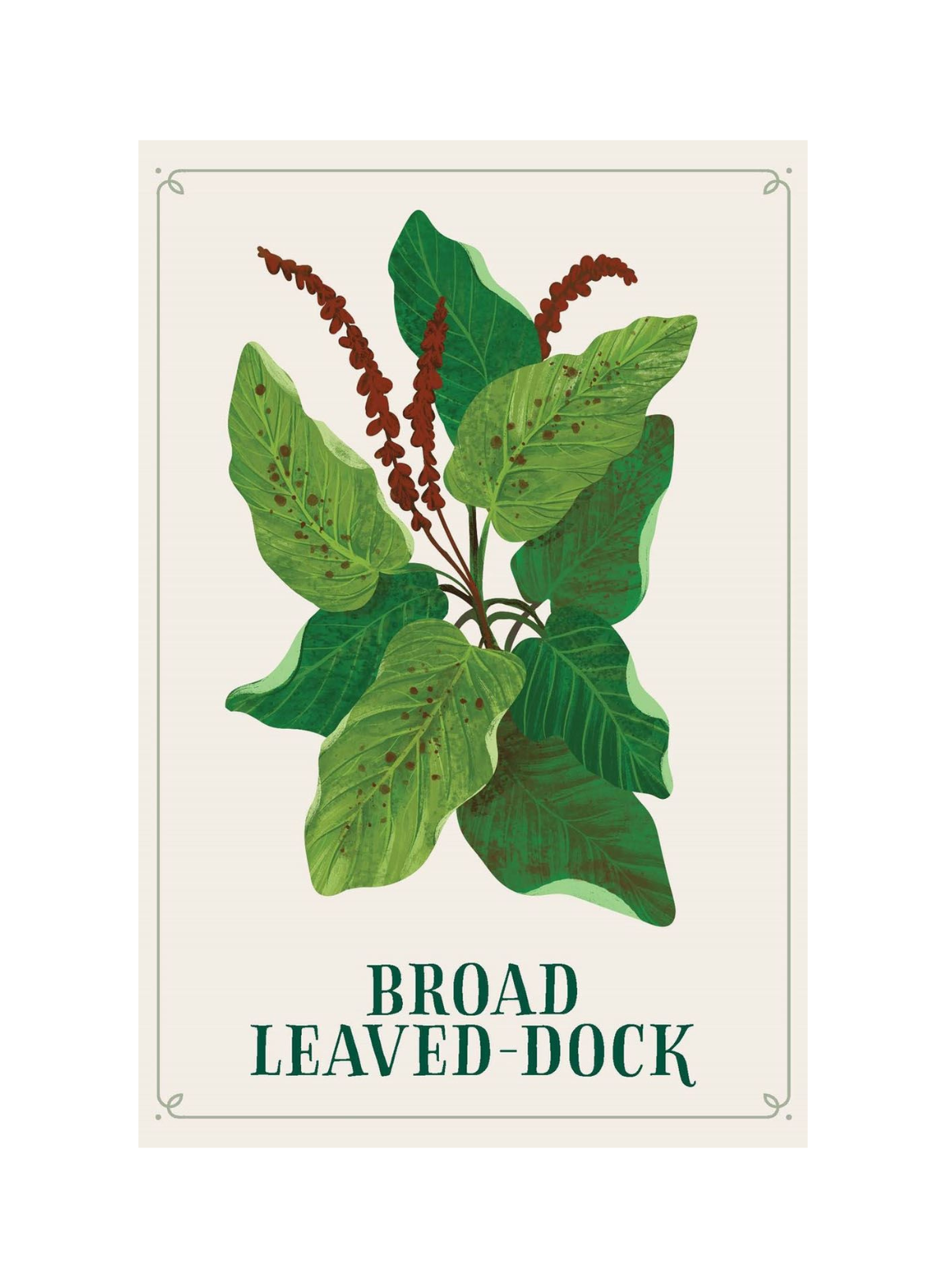 Enchanted Foraging Deck