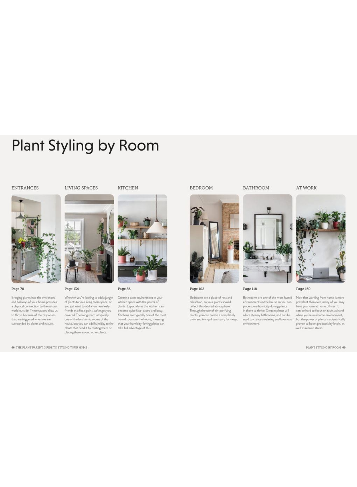 The Plant Parent Guide