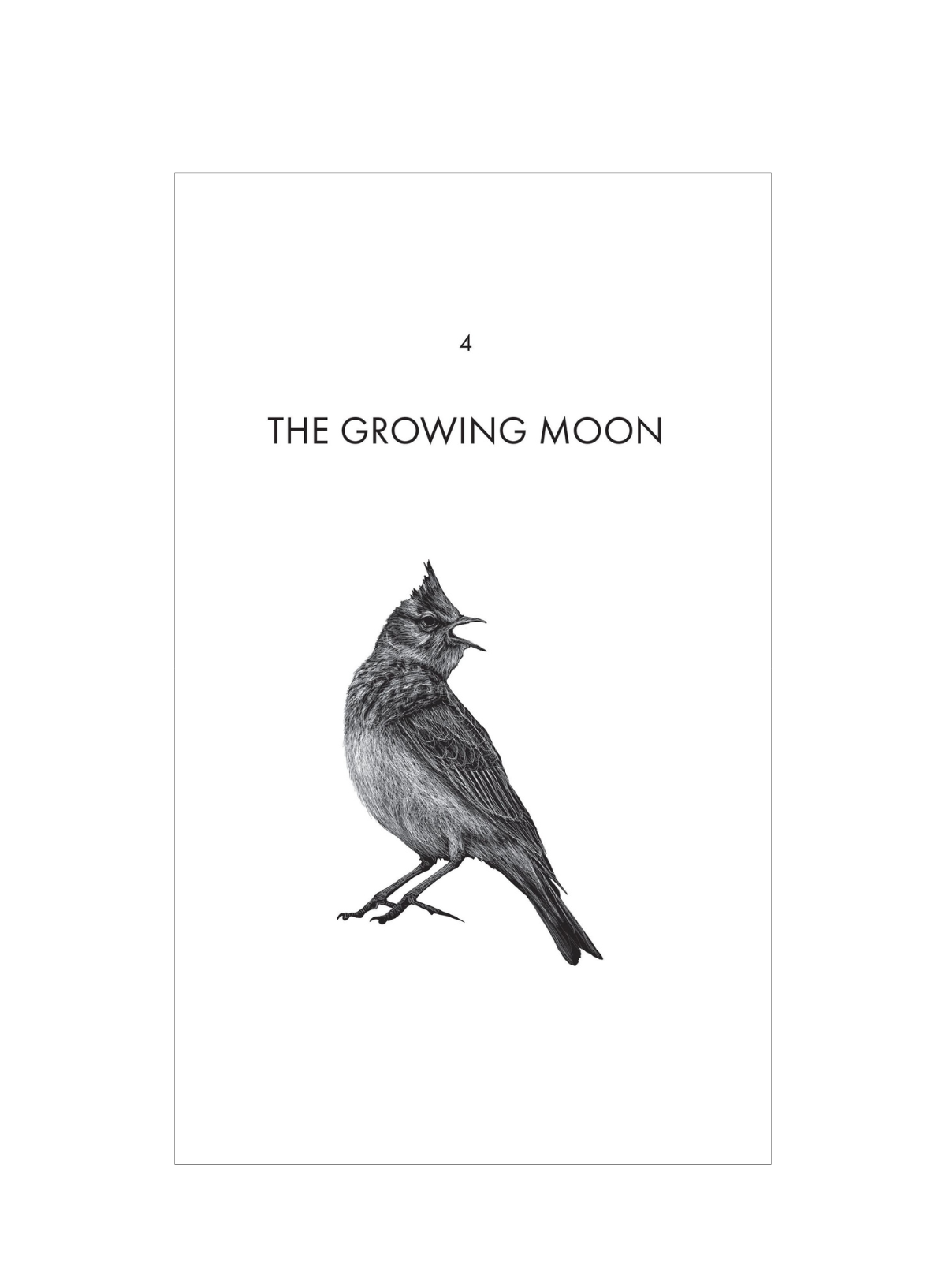 The Quiet Moon (PB)