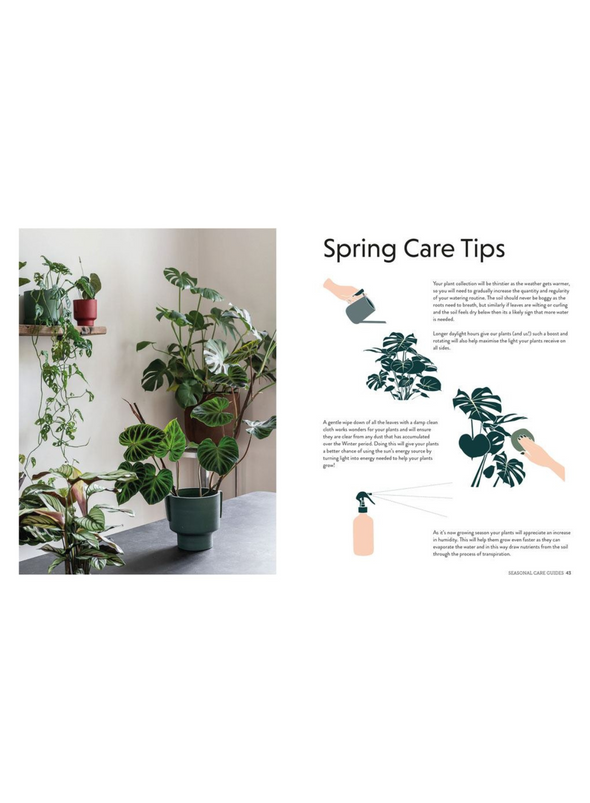 The Plant Parent Guide