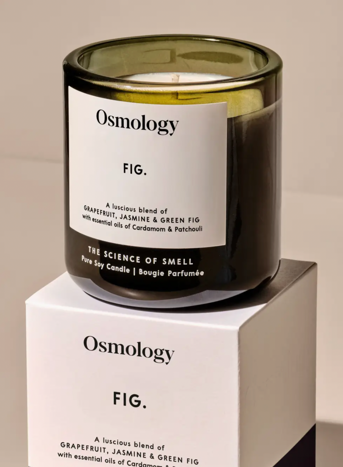 Aery Living Osmology Fig Scented Candle