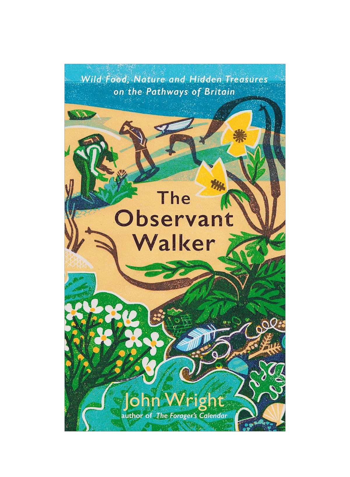 Observant Walker: Wild food, Nature and Hidden Treasers