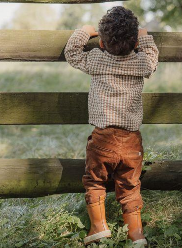 Brown Check Shirt from Little Dutch
