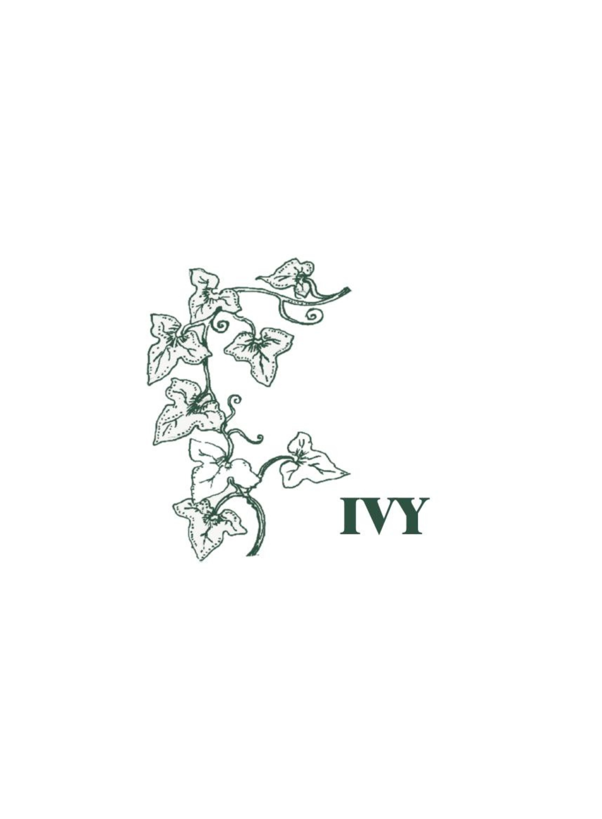 Heaven Scent Green Botanical Pack of 10 Incense Sticks in Ivy