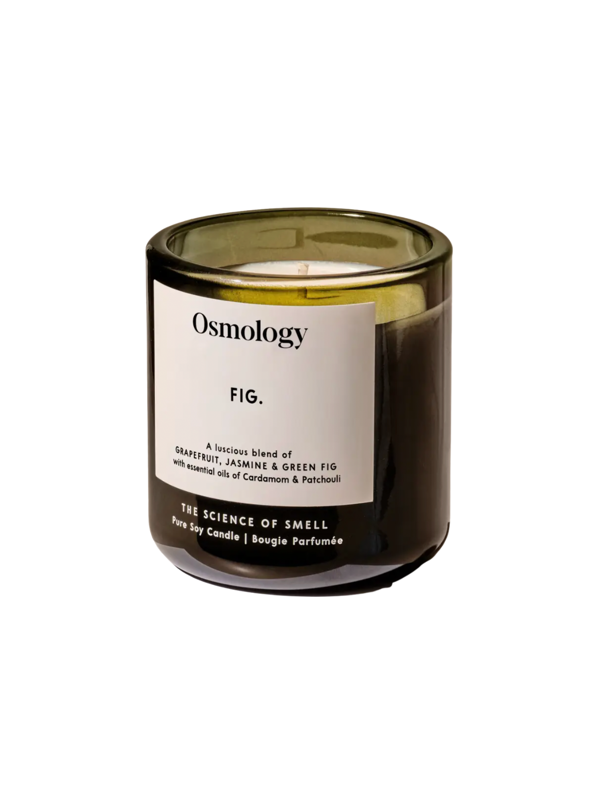 Aery Living Osmology Fig Scented Candle