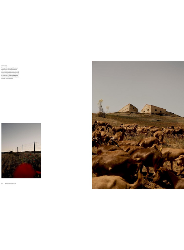 Kinfolk Journeys (Artisan) (HB)