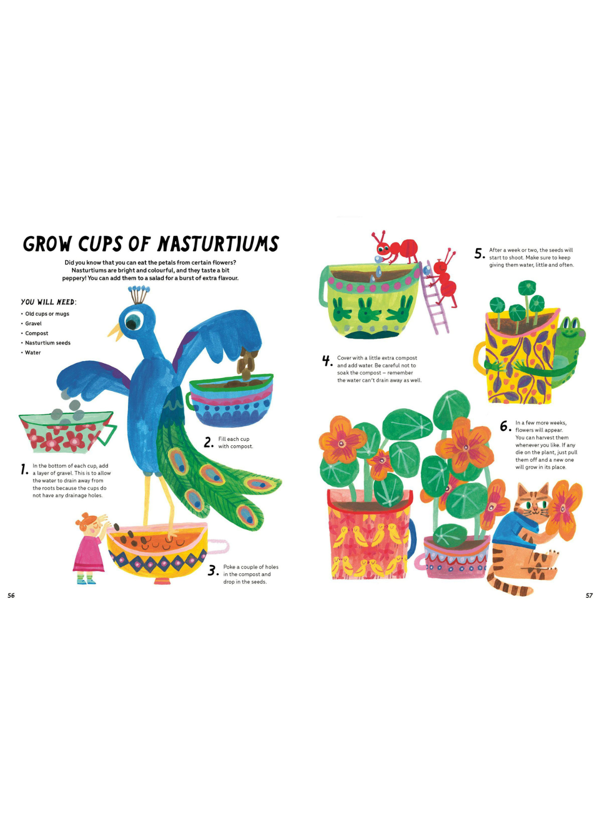 Little Gardeners Handbook