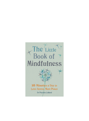 The Little Book of Mindfulness