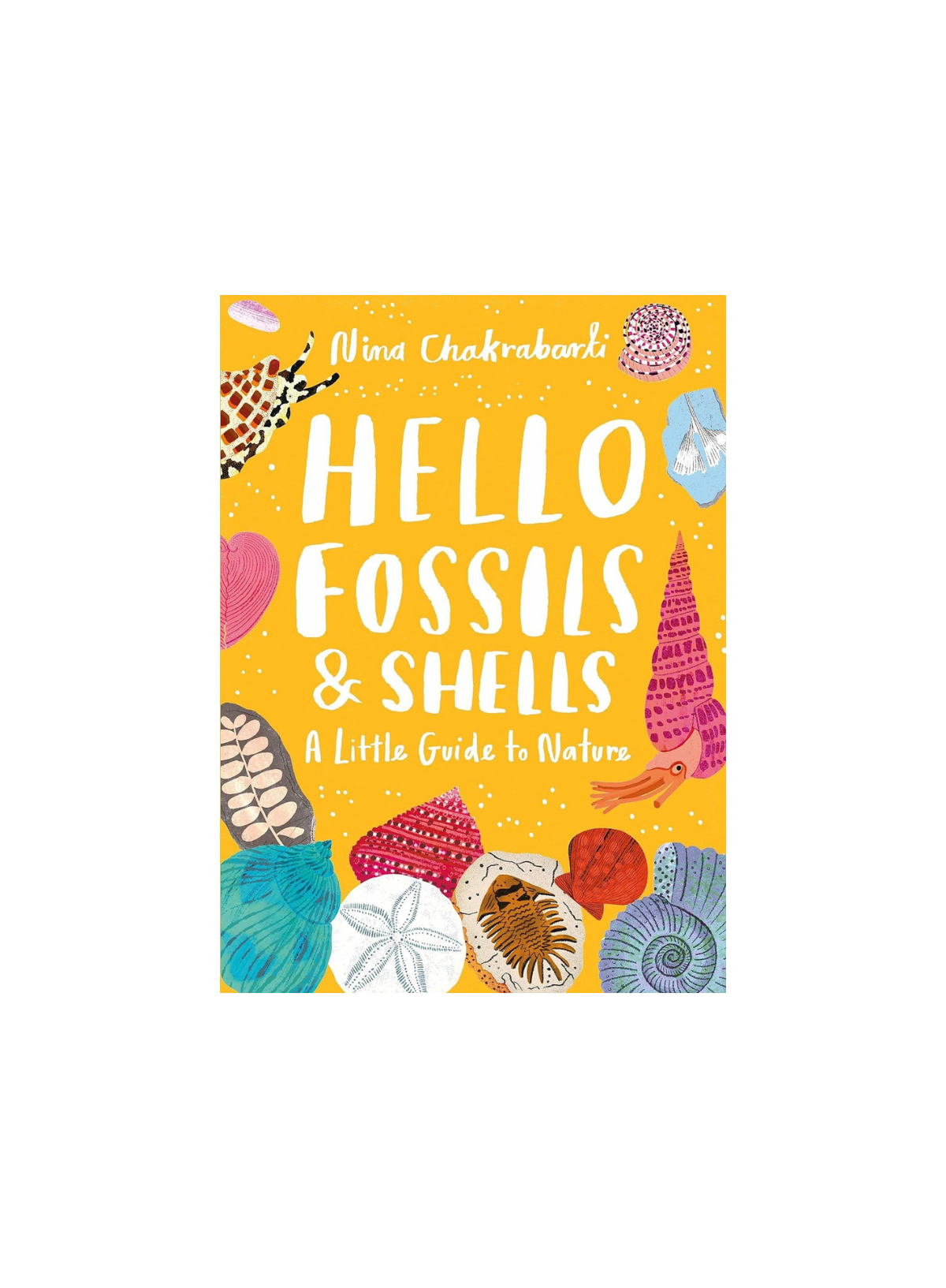 Hello Fossils and Shells: A little guide to nature