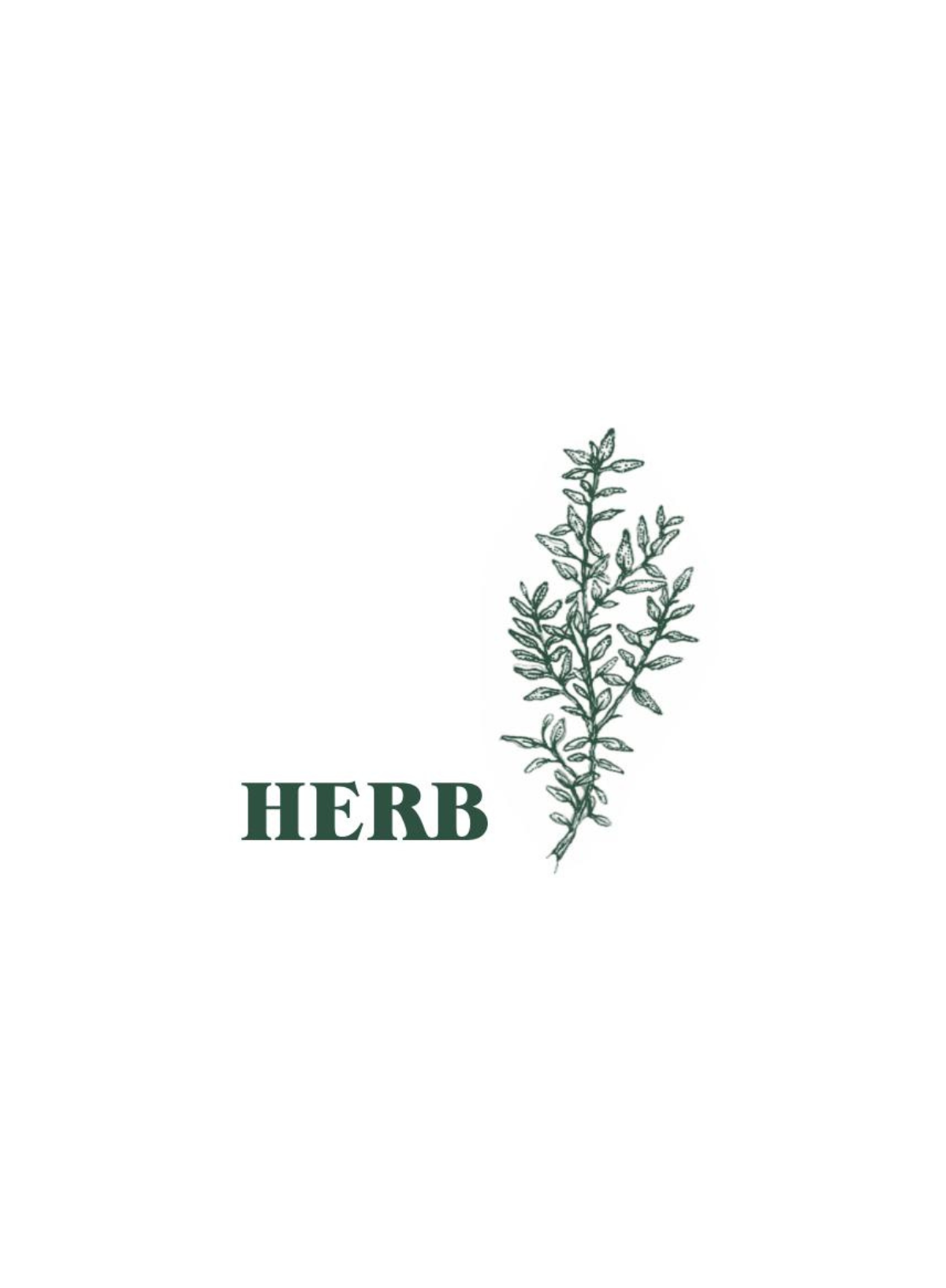 Heaven Scent Green Botanical Pack of 10 Incense Sticks in Herb