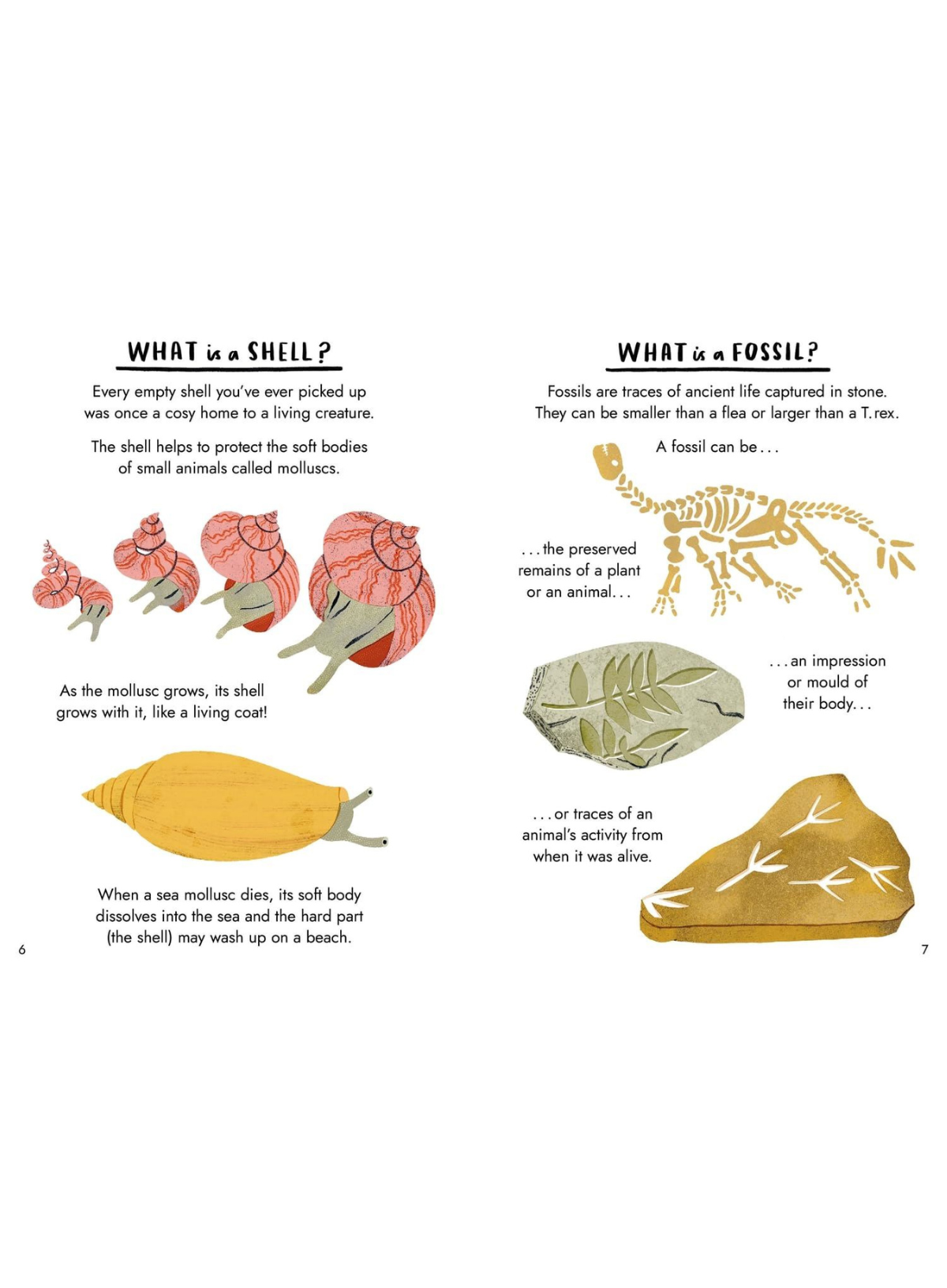 Hello Tree: A little guide to nature