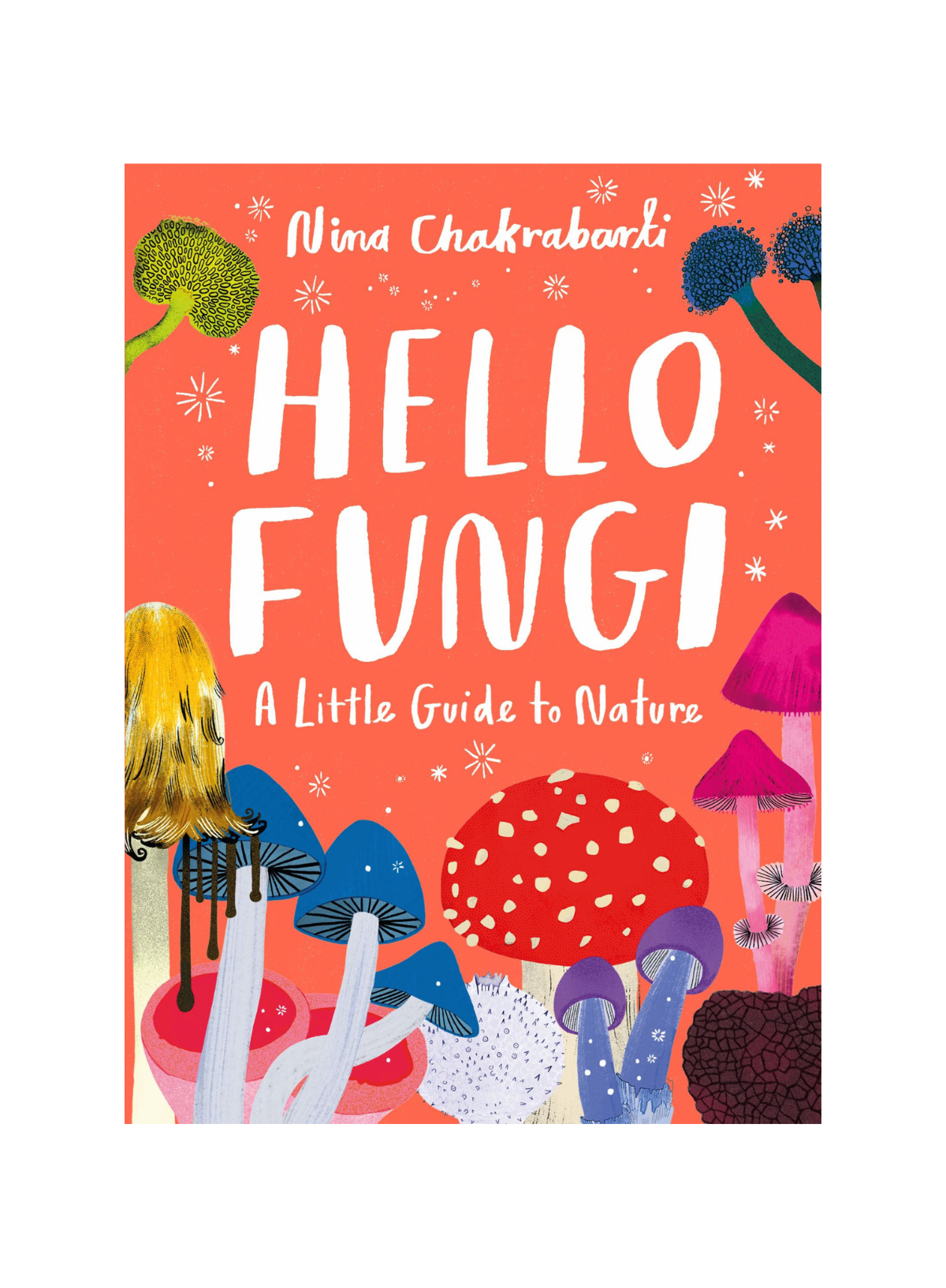 Hello Fungi: A little guide to nature