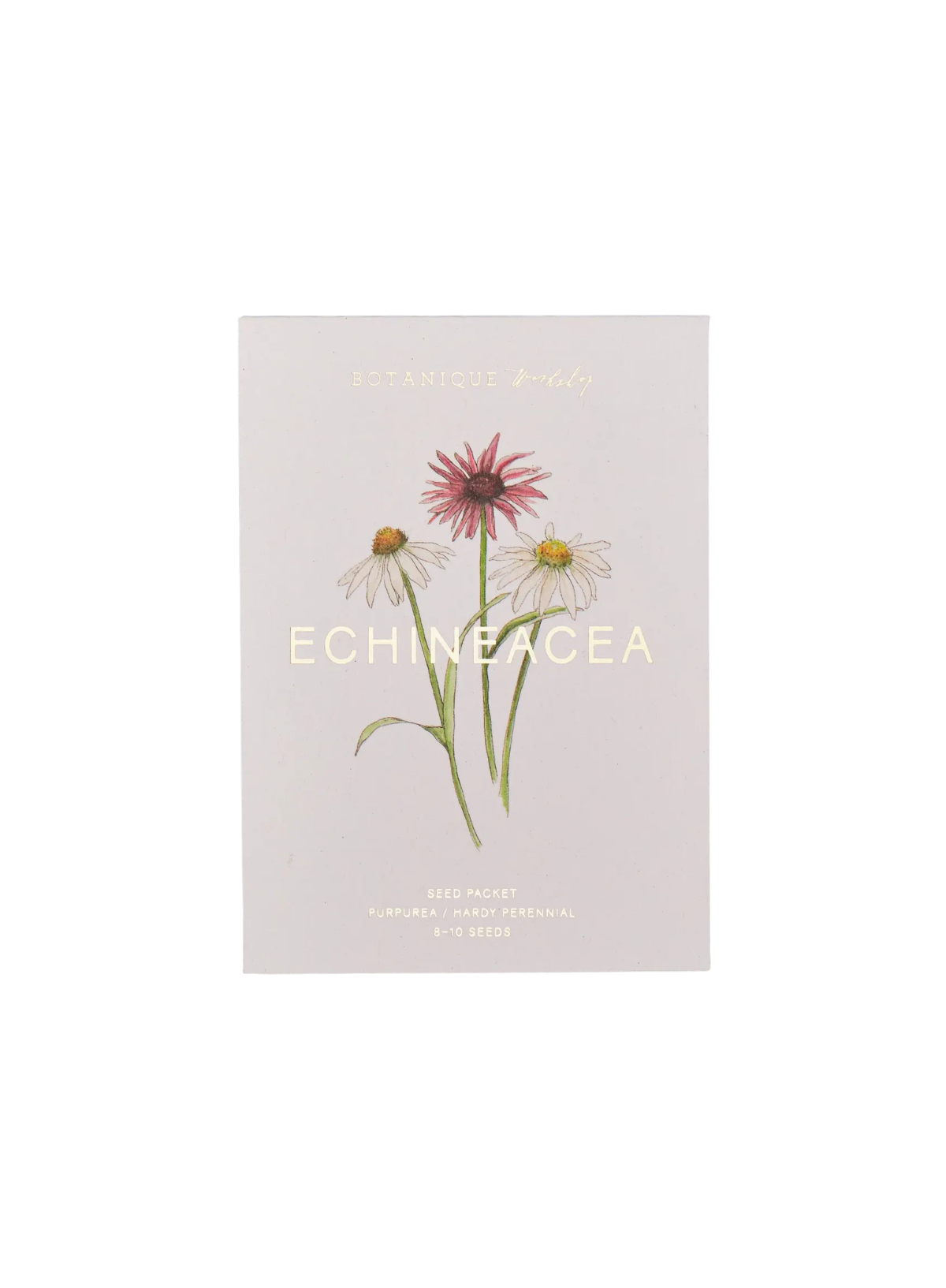 Botanique Workshop Echineacea Purpurea Seed Packet