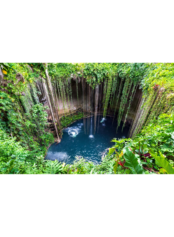 The Wellness Bucket List (Universe) (HB)