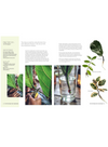 The Propagation Handbook