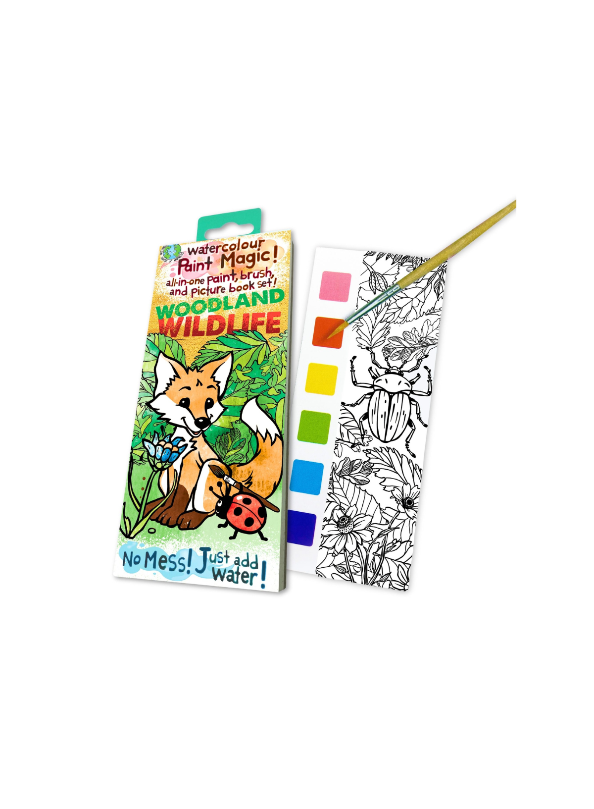 House of Marbles Paint Magic- Woodland Wildlife