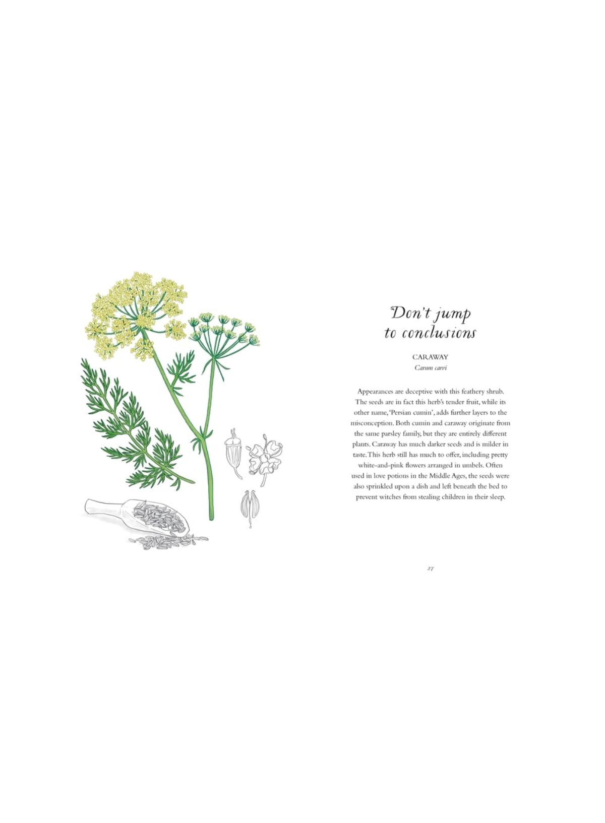 Wisdom of Herbs