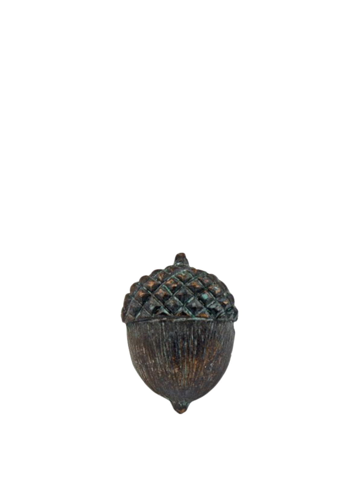 Acorn Drawer Knob from Originals International Ltd