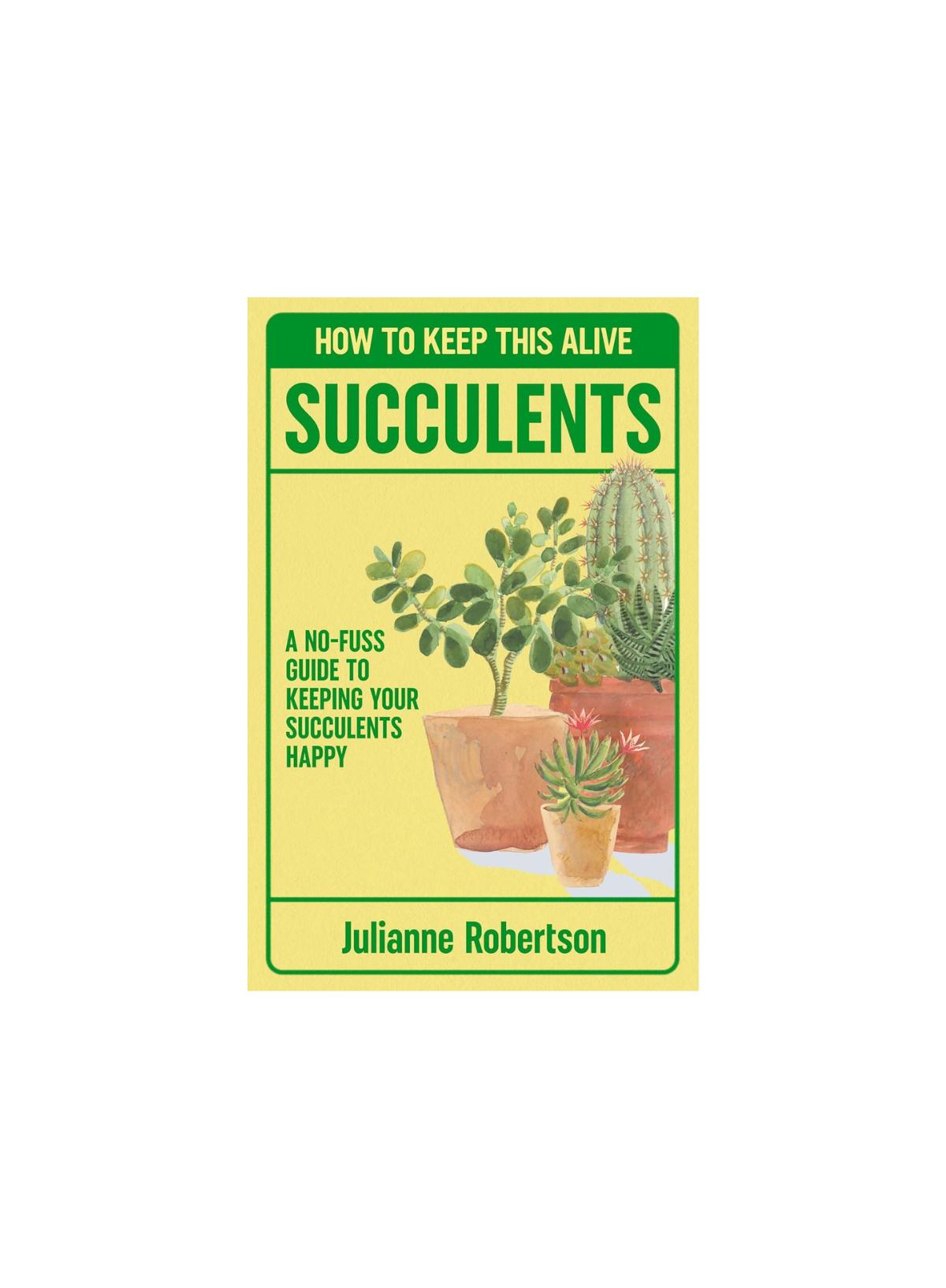 How to keep this alive Succulents