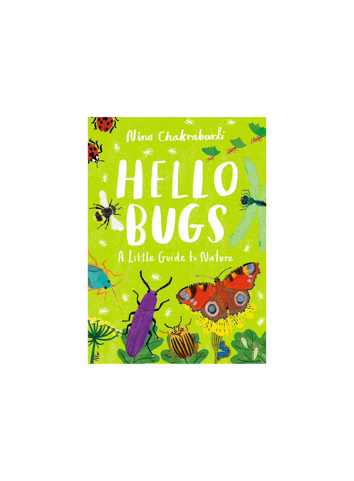 Hello Bugs: A little guide to nature
