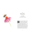 A Year of Garden Bees & Bugs