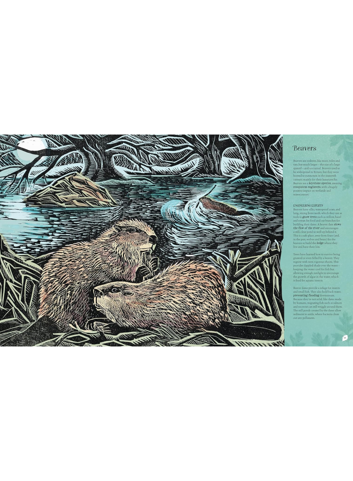 Wilding Illustrated by Angela Harding