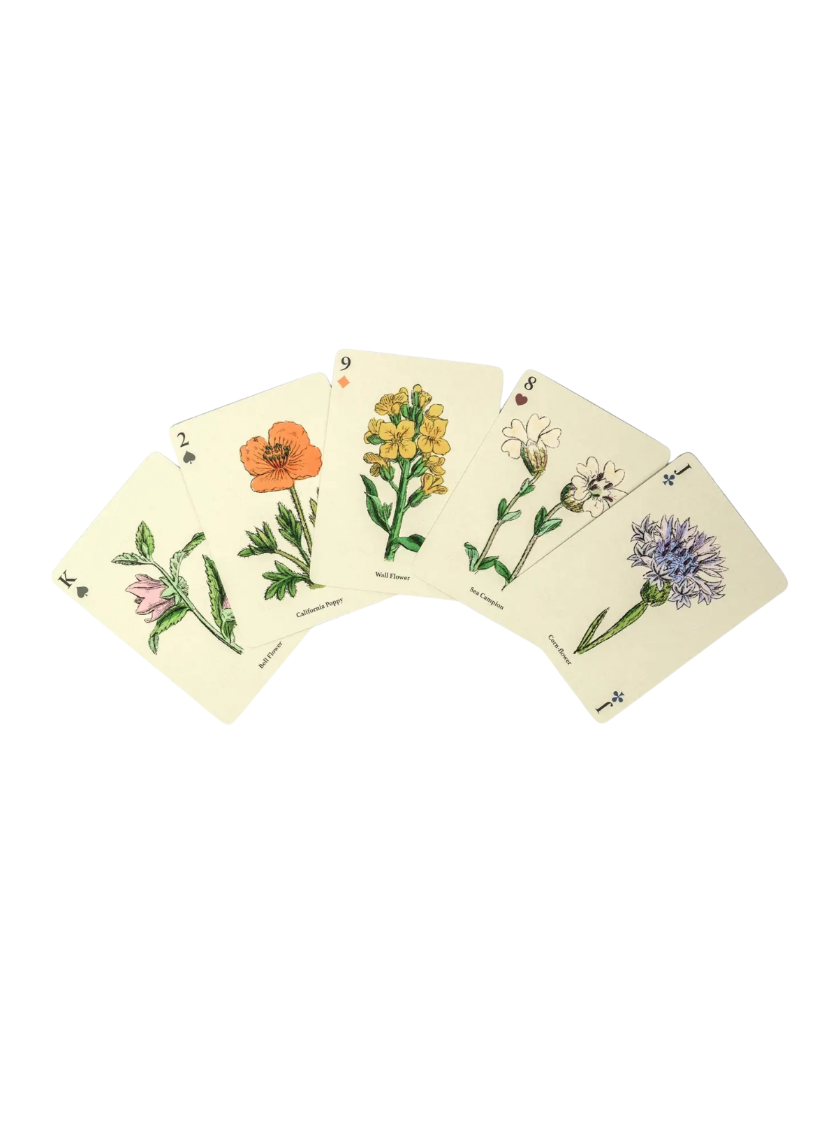 Roomytown Wildflowers Single Playing Card Deck