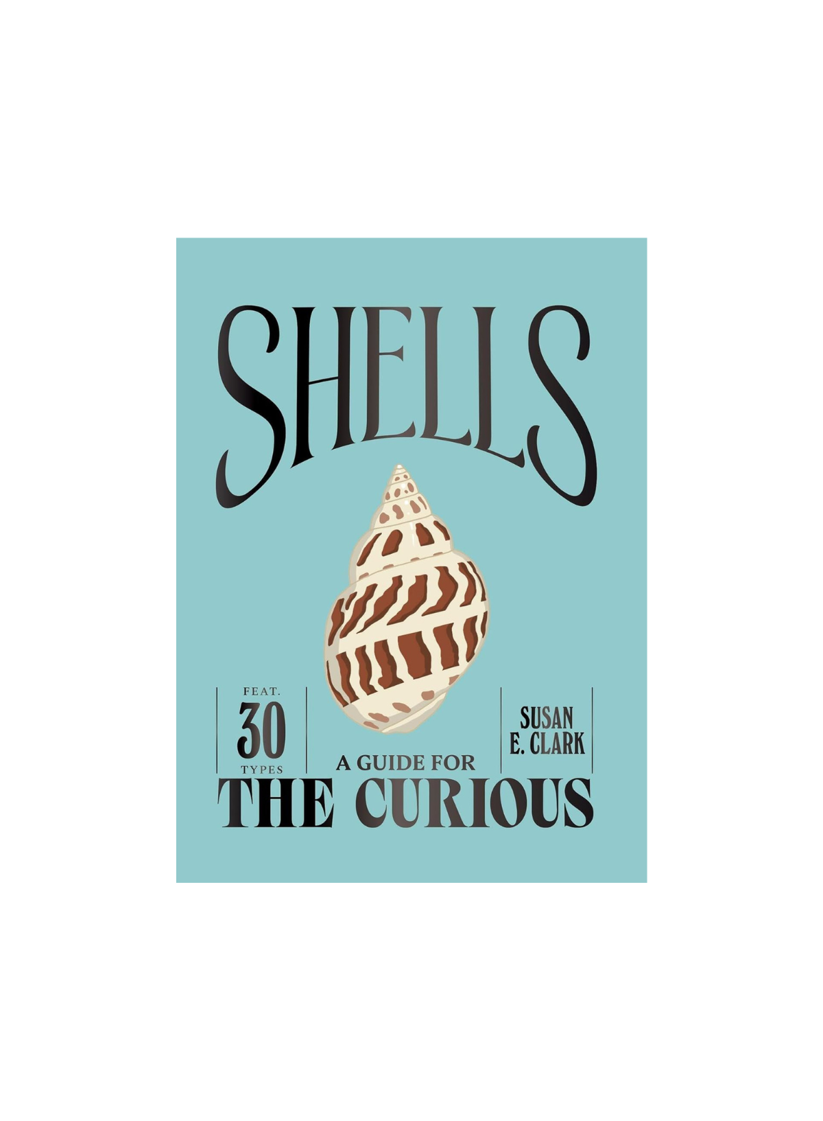 Shells: A guide for the curious